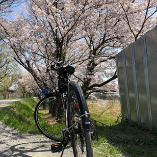 譲る方決定しました　シティバイク　クロス風？