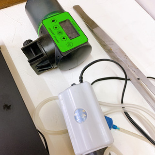 水槽　色々の画像