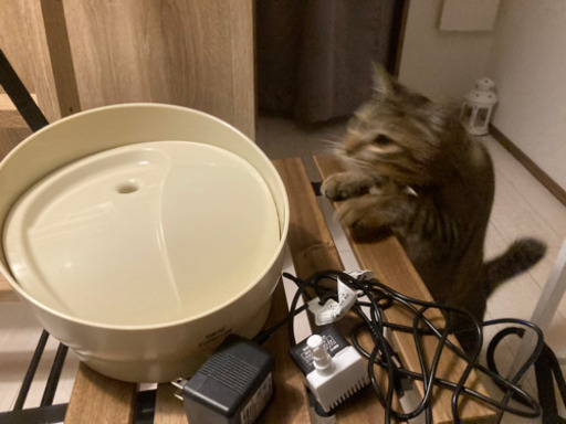 ペット　猫用　犬用　自動給水器　循環給水器