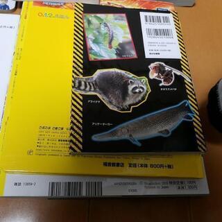 子供本などまとめて14冊の画像
