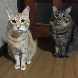 仲良し兄弟！