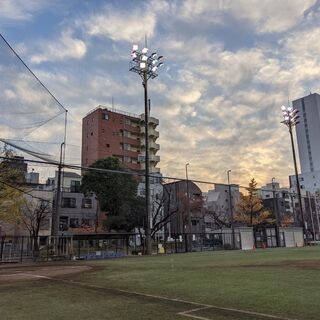 【平日ﾅｲﾀｰ野球】8/26(木)18:30‐20:00 錦糸公園野球場Aで野球をしませんか！ - スポーツ