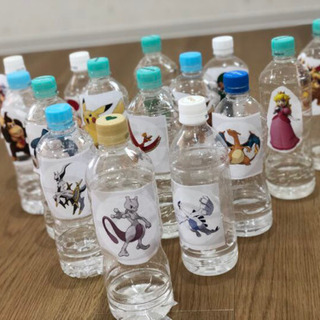 空きペットボトル10本