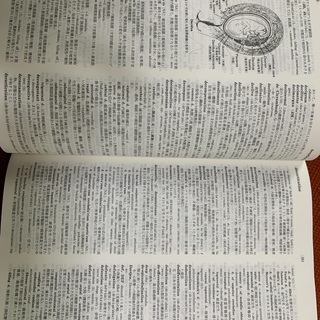 ステッドマン医学大辞典　第3版の画像