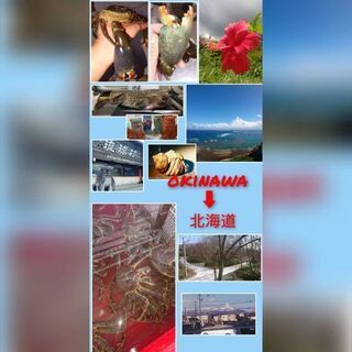 未経験でも安定のお仕事(^_^)