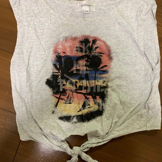 Tシャツ　レディース　短め