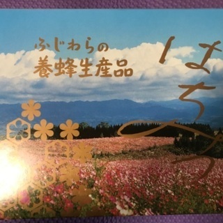 藤原養蜂場はちみつ600g×２　4700円相当のものの画像