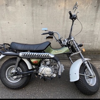 ★SkyTeam T-REX125★スズキ・バンバンタイプ★の画像