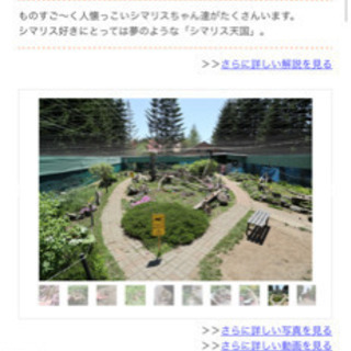 北海道　オホーツクシマリス公園・ログハウスカフェ夕陽の家・貸コテージ木馬の家 − 北海道