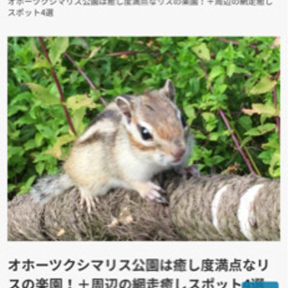 北海道　オホーツクシマリス公園・ログハウスカフェ夕陽の家・貸コテージ木馬の家 - 網走市