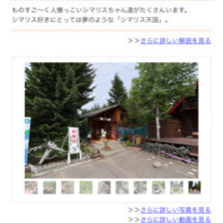 北海道　オホーツクシマリス公園・ログハウスカフェ夕陽の家・貸コテージ木馬の家 - 不動産
