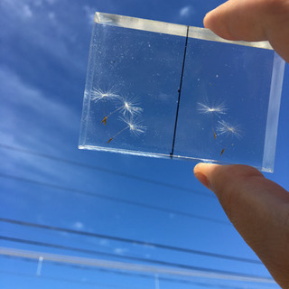 ご意見頂ければ嬉しいです😊 − 香川県