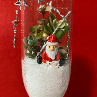 多肉植物寄せ植え   Xmasアレンジ