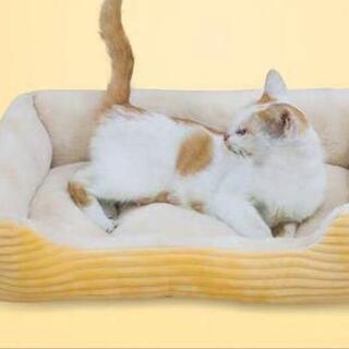 新品 洗える ベッド 小型犬 猫 ソファー 防寒 保温 暖かい