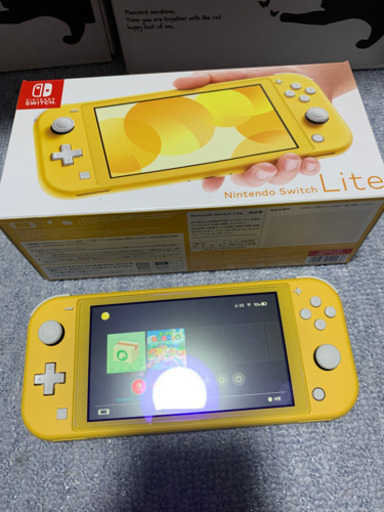ニンテンドー　スイッチライト