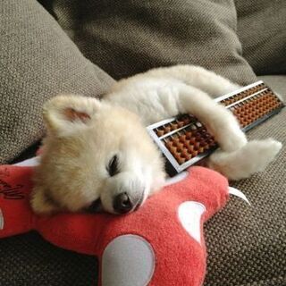 ♠限定募集♠お客様対応いただける方！