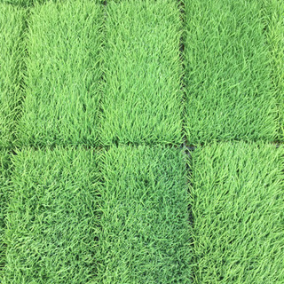 農作業ボランティア募集(2021年度田植え作業)