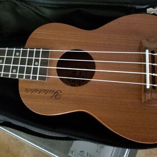 【すきま時間に習い事】　ウクレレ　ソフトケース付き