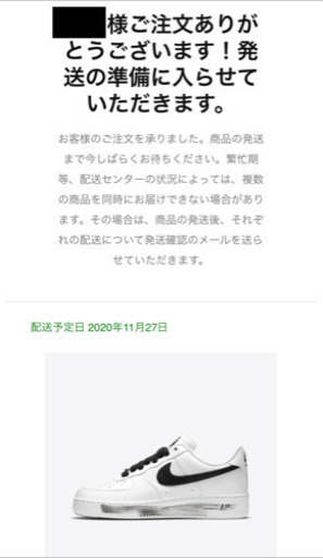 ナイキ エアフォースワン パラノイズ 27.5cm