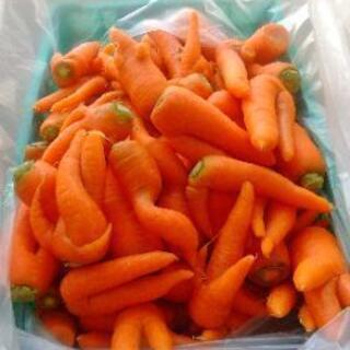 🥕訳あり人参１５kg🥕