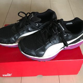 プーマ　ボディトレイン　メッシュ　レディススニーカー　24.5センチの画像