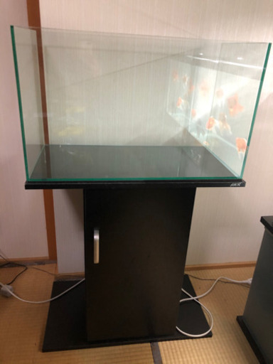 60cmガラス水槽&水槽台