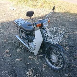 2stバーディー50