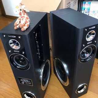 アンプ内蔵スピーカー VABEL TSｰ120BD 