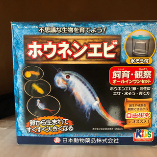 ホウネンエビ飼育セット　上新庄でお取引