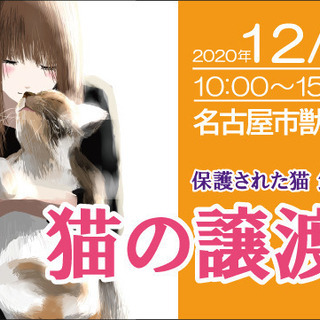 猫の譲渡会☆大須商店街近く