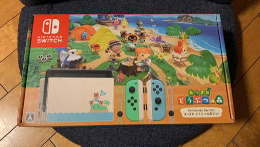 Switchどうぶつの森セット