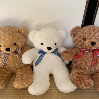大きめクマのぬいぐるみ 3点セット（個別売りあり)