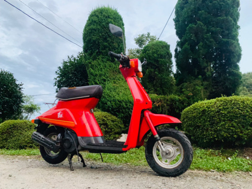 スズキ バラ SUZUKI薔薇カスタム旧車 昭和