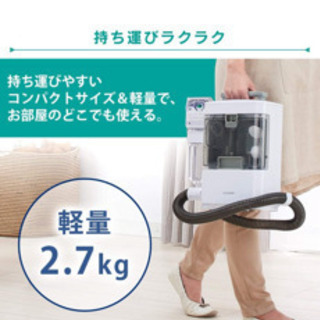 リンサークリーナー　アイリスの画像