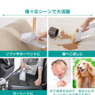リンサークリーナー　アイリスの画像
