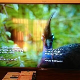 BRAVIA 2014年製 70インチ テレビ