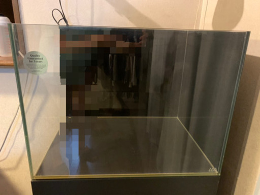 ADA水槽(600×450×450) ADA水槽台