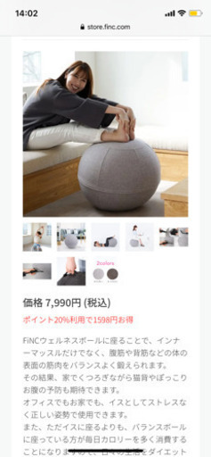 【Finc】バランスボール【美品】