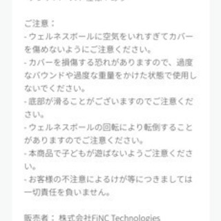 【Finc】バランスボール【美品】の画像