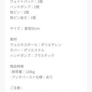 【Finc】バランスボール【美品】の画像