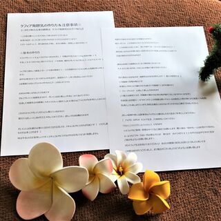 ケフィアのテキスト☆２P　※あとはご相談くださいの画像