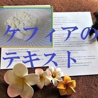 ケフィアのテキスト☆２P　※あとはご相談ください