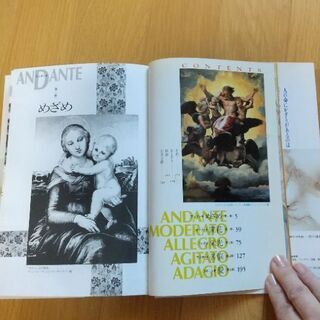 アートコミック『ラファエロ』(里中満智子) (中古) の画像