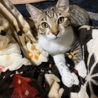 受付終了しました。