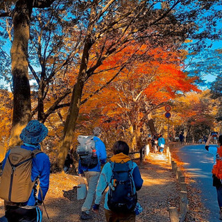 五月山ハイキング٩(●˙▿˙●)۶