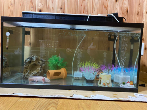 水槽90✖️45✖️45