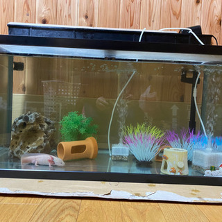 水槽90✖️45✖️45