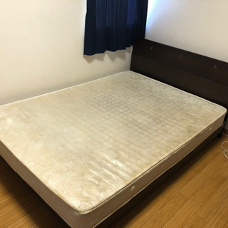 早い者勝ち！ダブルベット　取りに来て下さい！