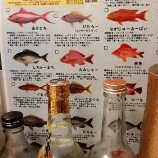 釣り仲間募集 - 友達
