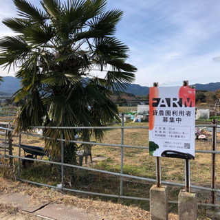 自給自足しよう！貸し農園利用者募集！ − 滋賀県